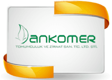 Customer Testimonails